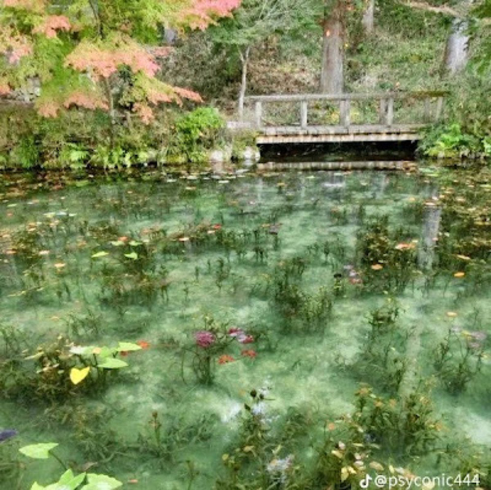 Meet your Posher, Premiumajc1